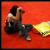 red carpet